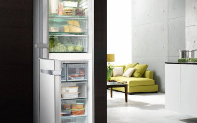 Miele Refridgerator Repairs Beaumauris