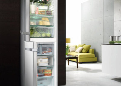 Miele Refridgerator Repairs Sandringham